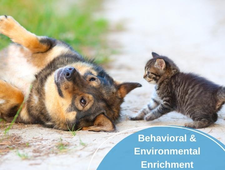 Behavioral & Environmental Enrichment