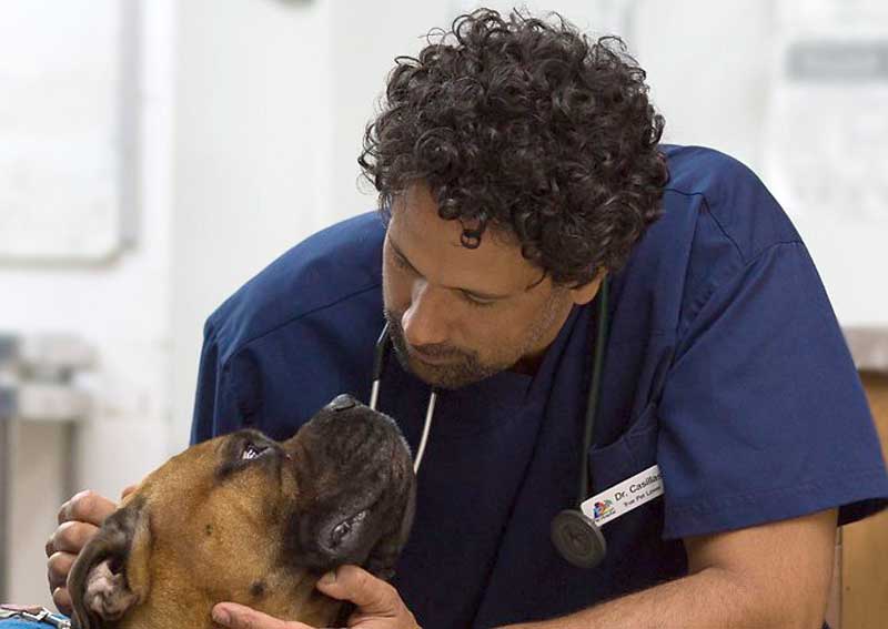 Tender Loving Care Animal Hospital | Baldwin Park Veterinarians