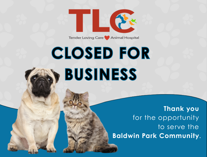 Tender Loving Care Hospital is now permanently closed.
